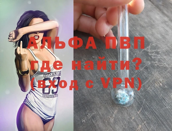 спиды Верея