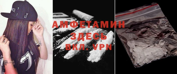 a pvp Бородино