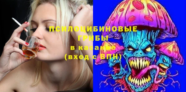 спиды Верея