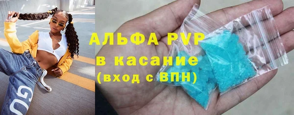 спиды Верея