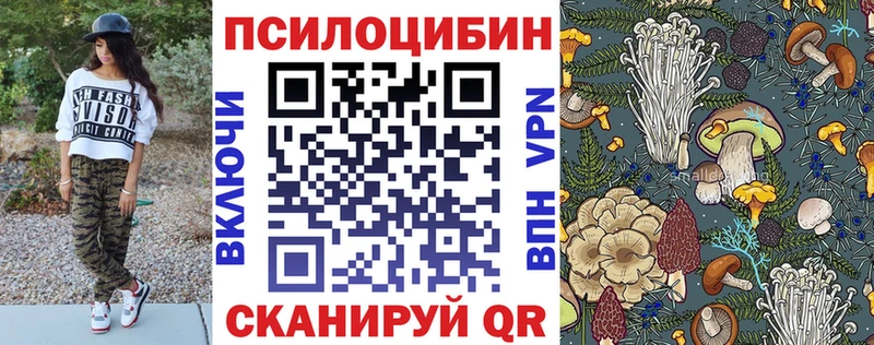 Псилоцибиновые грибы Psilocybine cubensis Подольск